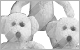 Click to Visit