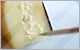 Click to Visit