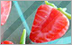 Click to Visit