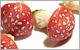 Click to Visit